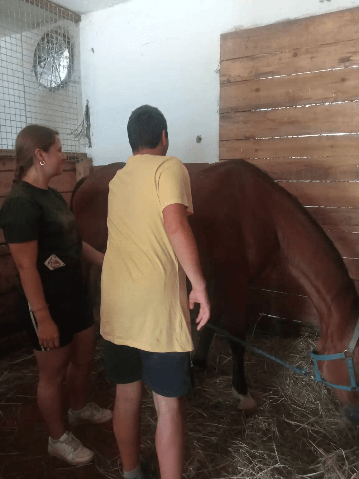 Ovi terapeuti imaju četiri noge - slika 6