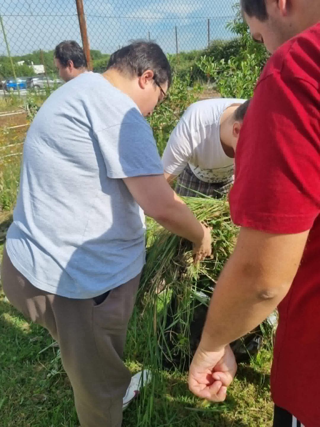 Radna terapija u vrtu je više od uređenja dvorišta! - slika 1