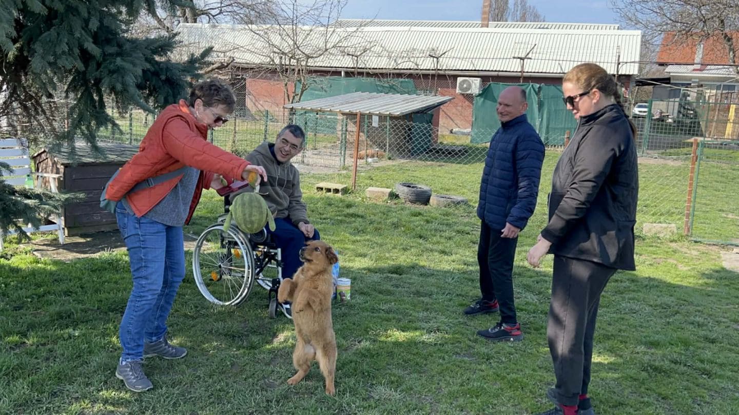 Male geste, velika promjena, kako briga o životinjama gradi inkluzivnije društvo