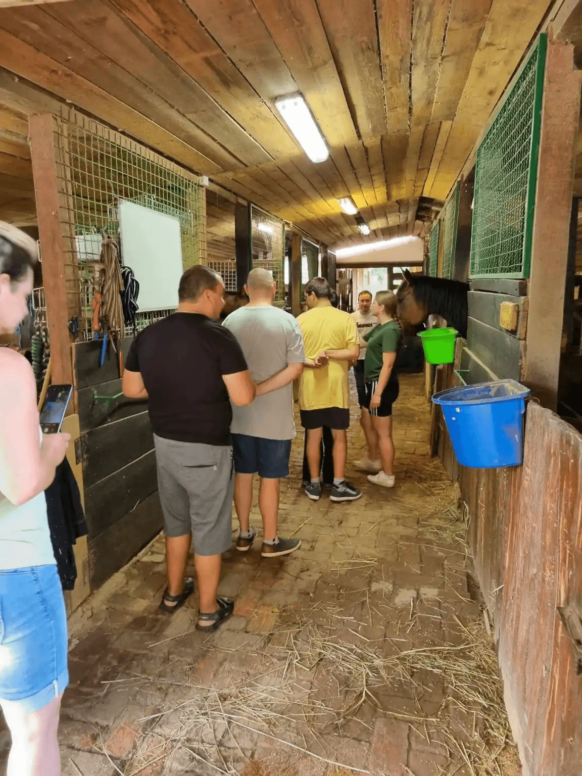 Ovi terapeuti imaju četiri noge - slika 11