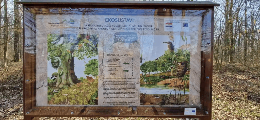 Za osobe s intelektualnim teškoćama iz Bjelovara osmišljen novi projekt - slika 8