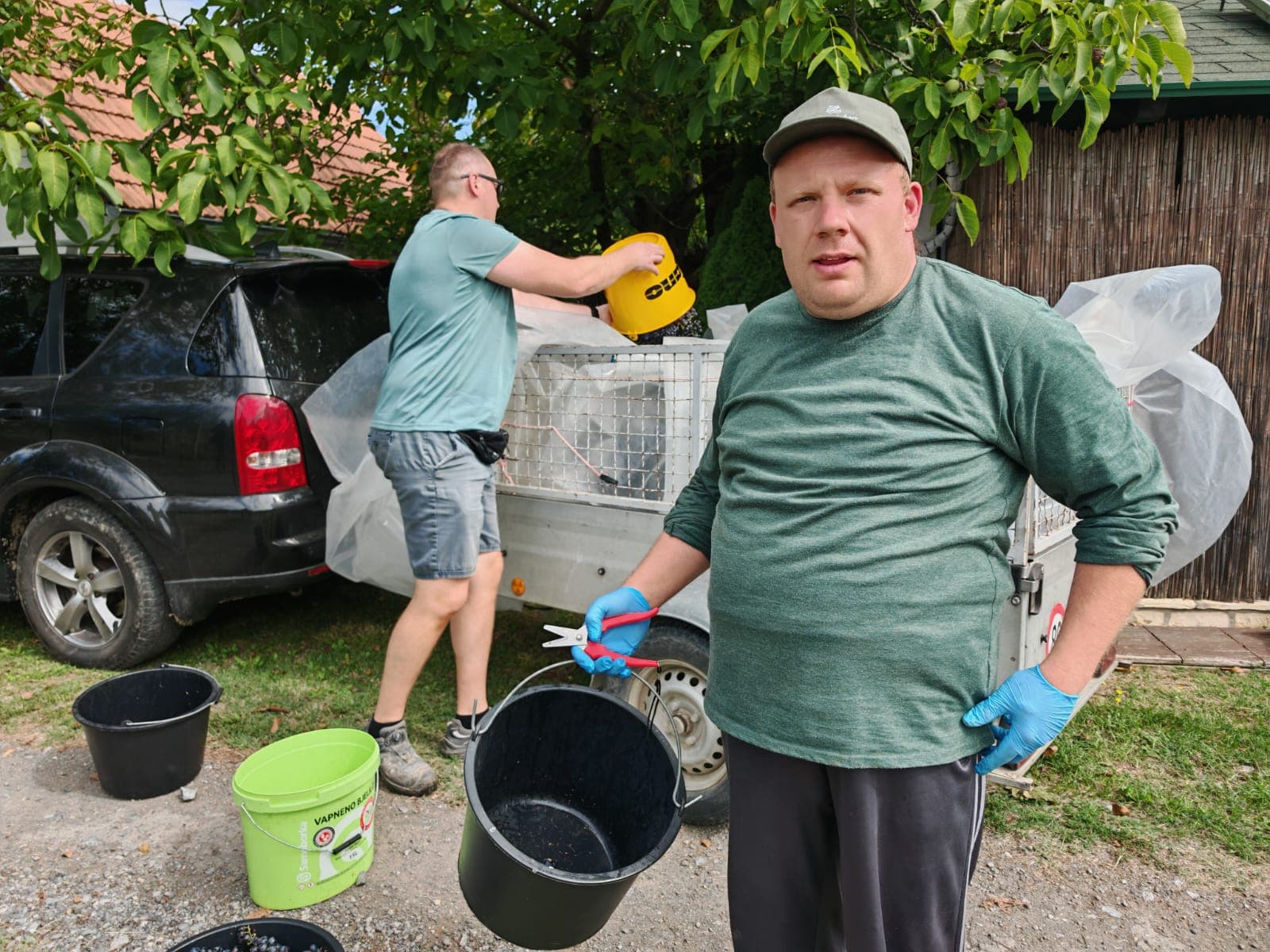 Udruga Vretenac iz Slatine organizirala prvu berbu grožđa - slika 2