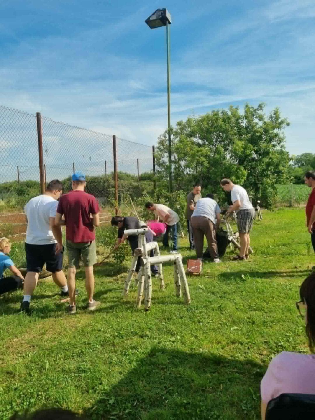 Radna terapija u vrtu je više od uređenja dvorišta! - slika 2