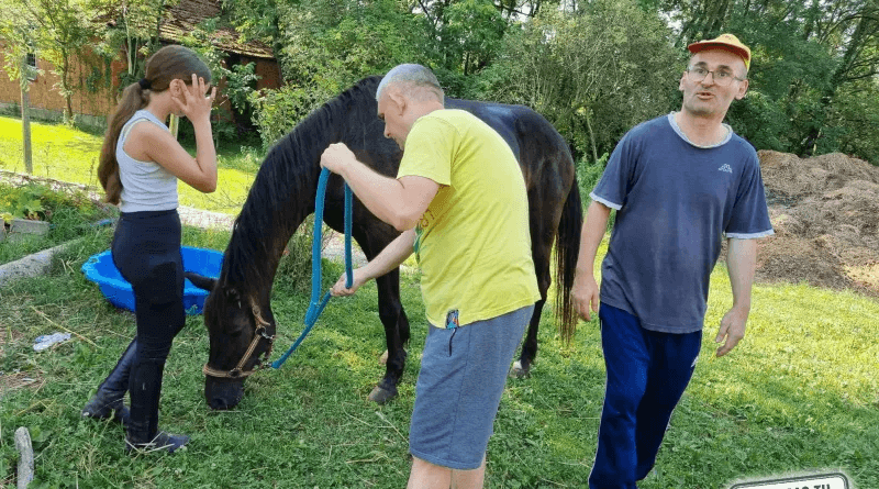Velika ljubav: Utorak je u Udruzi OSIT Bjelovar rezerviran za druženje s četveronožnim prijateljima