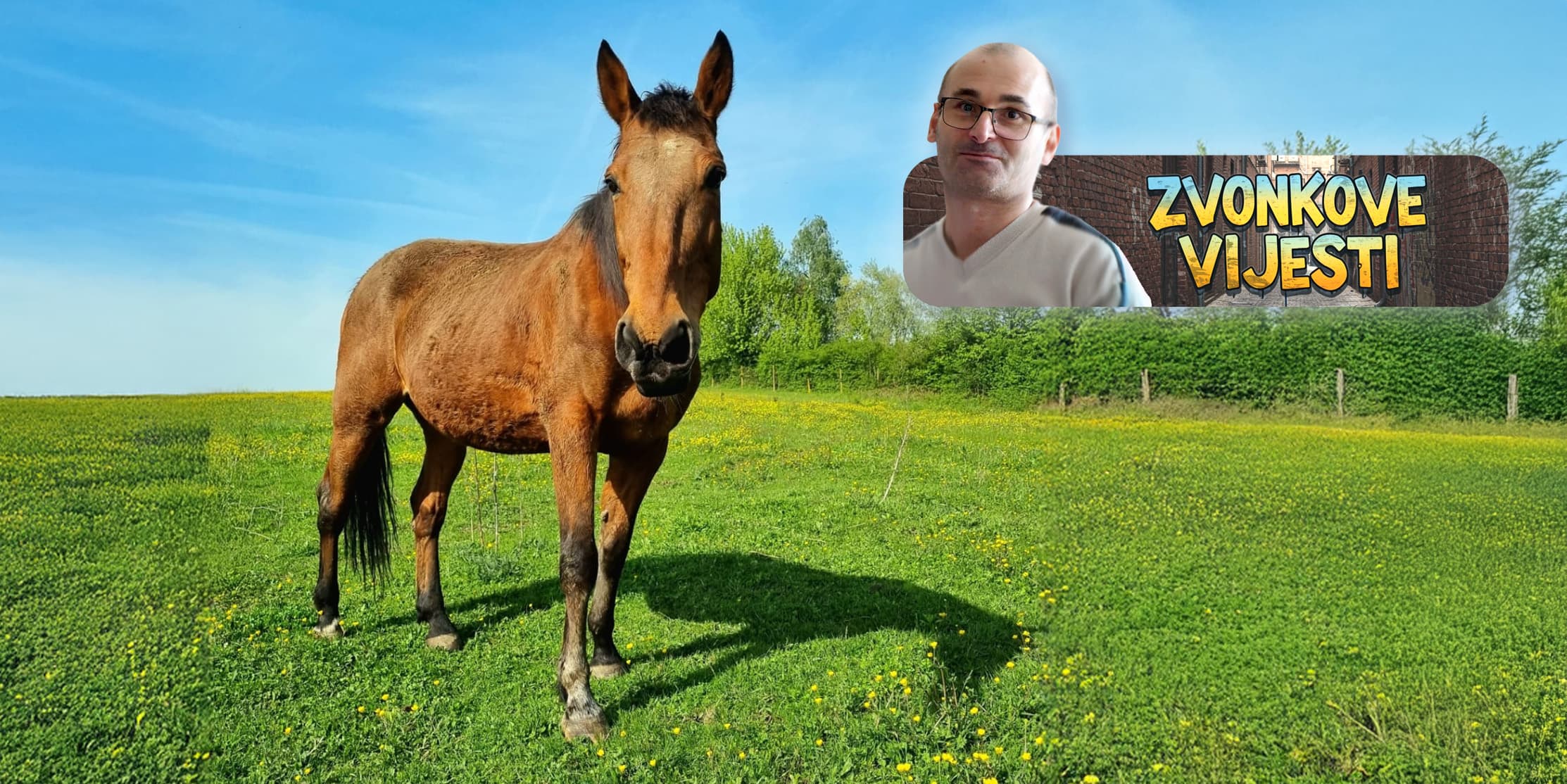Zvonimir o Kasačkom klubu Bjelovar