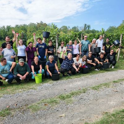 Udruga Vretenac iz Slatine organizirala prvu berbu grožđa