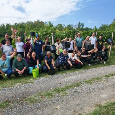 Udruga Vretenac iz Slatine organizirala prvu berbu grožđa