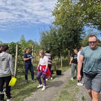 Udruga Vretenac iz Slatine organizirala prvu berbu grožđa