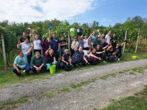 Udruga Vretenac iz Slatine organizirala prvu berbu grožđa