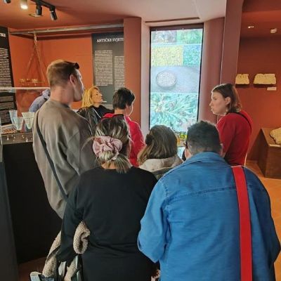 Pregled tjednih aktivnosti korisnika Udruge Rina Mašera